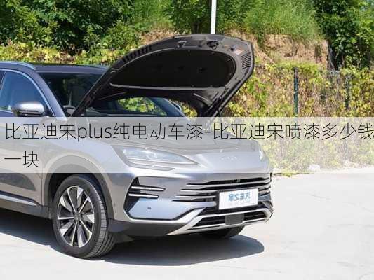 比亞迪宋plus純電動車漆-比亞迪宋噴漆多少錢一塊