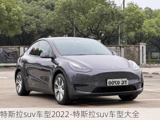 特斯拉suv車型2022-特斯拉suv車型大全