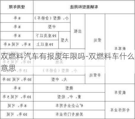 雙燃料汽車有報廢年限嗎-雙燃料車什么意思