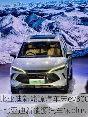 比亞迪新能源汽車宋ev300-比亞迪新能源汽車宋plus