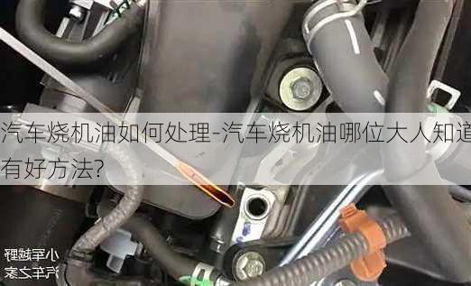 汽車燒機油如何處理-汽車燒機油哪位大人知道有好方法?