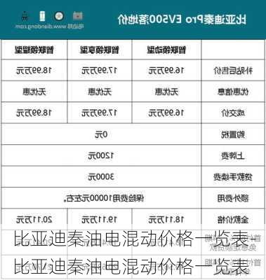 比亞迪秦油電混動(dòng)價(jià)格一覽表-比亞迪秦油電混動(dòng)價(jià)格一覽表