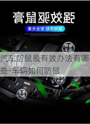 汽車防鼠最有效辦法有哪些-車輛如何防鼠