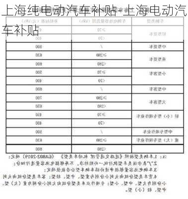 上海純電動(dòng)汽車(chē)補(bǔ)貼-上海電動(dòng)汽車(chē)補(bǔ)貼