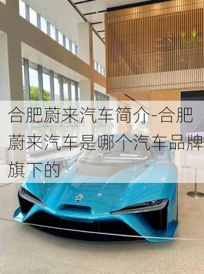 合肥蔚來(lái)汽車簡(jiǎn)介-合肥蔚來(lái)汽車是哪個(gè)汽車品牌旗下的