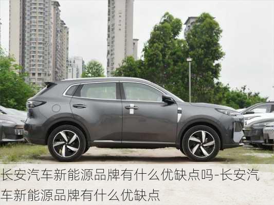 長(zhǎng)安汽車新能源品牌有什么優(yōu)缺點(diǎn)嗎-長(zhǎng)安汽車新能源品牌有什么優(yōu)缺點(diǎn)