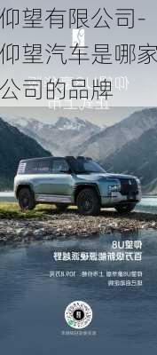 仰望有限公司-仰望汽車(chē)是哪家公司的品牌