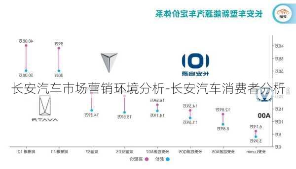 長安汽車市場營銷環(huán)境分析-長安汽車消費(fèi)者分析