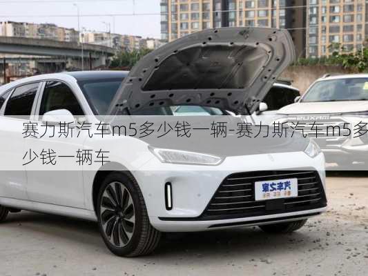 賽力斯汽車m5多少錢一輛-賽力斯汽車m5多少錢一輛車