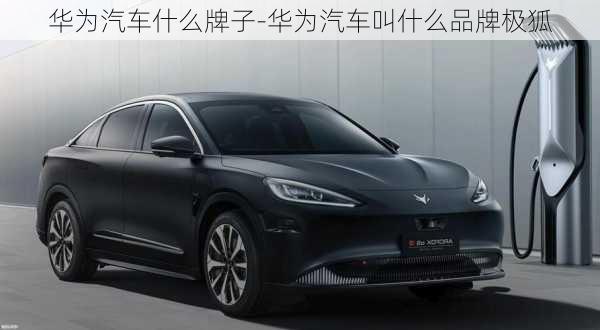 華為汽車什么牌子-華為汽車叫什么品牌極狐