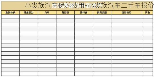 小貴族汽車保養(yǎng)費用-小貴族汽車二手車報價