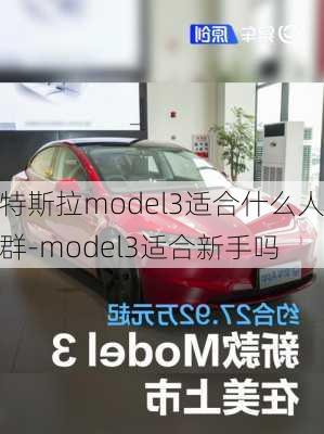 特斯拉model3適合什么人群-model3適合新手嗎