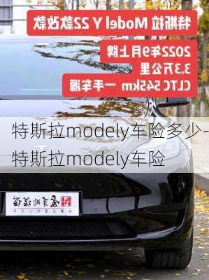 特斯拉modely車險(xiǎn)多少-特斯拉modely車險(xiǎn)