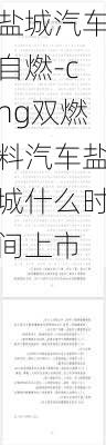 鹽城汽車自燃-cng雙燃料汽車鹽城什么時間上市