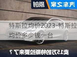 特斯拉均價2023-特斯拉均價多少錢一臺