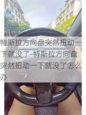 特斯拉方向盤突然扭動一下就沒了-特斯拉方向盤突然扭動一下就沒了怎么辦