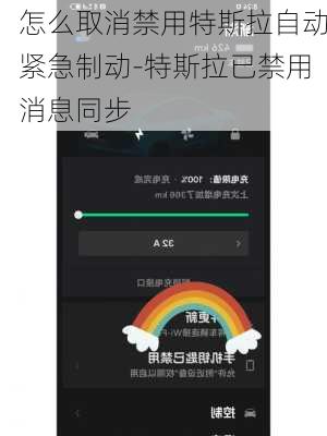 怎么取消禁用特斯拉自動緊急制動-特斯拉已禁用消息同步