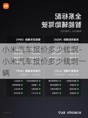 小米汽車報價多少錢啊-小米汽車報價多少錢啊一輛