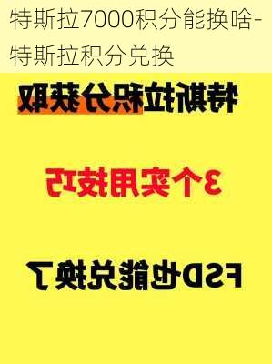 特斯拉7000積分能換啥-特斯拉積分兌換