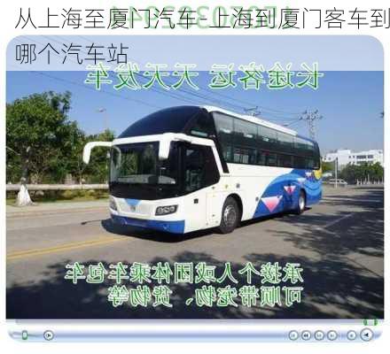 從上海至廈門汽車-上海到廈門客車到哪個(gè)汽車站