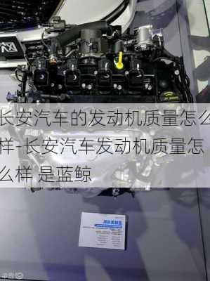 長安汽車的發(fā)動機質(zhì)量怎么樣-長安汽車發(fā)動機質(zhì)量怎么樣 是藍鯨