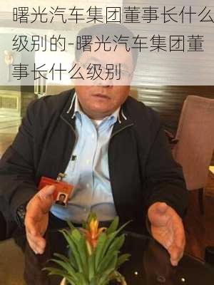 曙光汽車集團董事長什么級別的-曙光汽車集團董事長什么級別