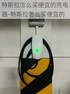 特斯拉怎么買便宜的充電器-特斯拉怎么買便宜的