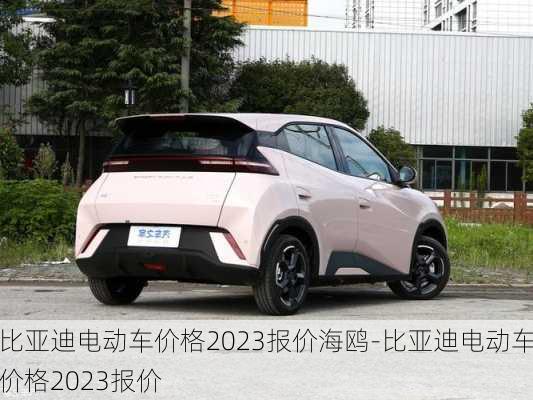 比亞迪電動車價格2023報價海鷗-比亞迪電動車價格2023報價