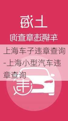 上海車子違章查詢-上海小型汽車違章查詢