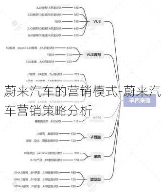 蔚來汽車的營銷模式-蔚來汽車營銷策略分析