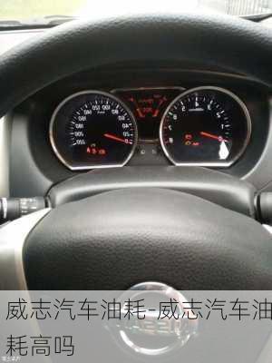 威志汽車油耗-威志汽車油耗高嗎