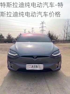 特斯拉迪純電動汽車-特斯拉迪純電動汽車價格