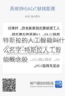 特斯拉的人工智能叫什么名字-特斯拉人工智能概念股