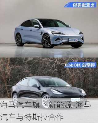 海馬汽車旗下新能源-海馬汽車與特斯拉合作