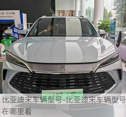 比亞迪宋車輛型號-比亞迪宋車輛型號在哪里看