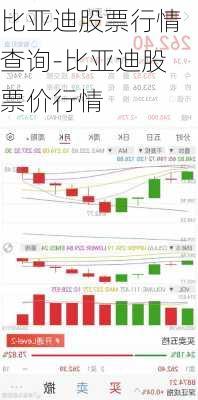 比亞迪股票行情查詢(xún)-比亞迪股票價(jià)行情