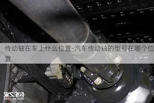 傳動軸在車上什么位置-汽車傳動軸的型號在哪個位置