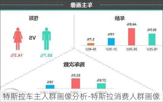 特斯拉車主人群畫像分析-特斯拉消費人群畫像