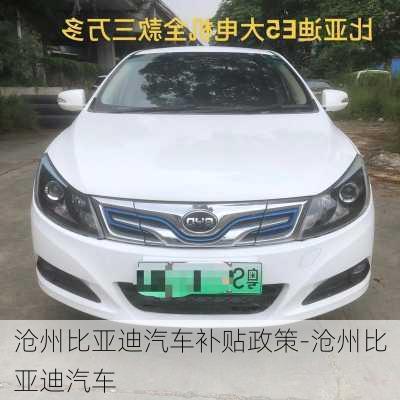 滄州比亞迪汽車補(bǔ)貼政策-滄州比亞迪汽車