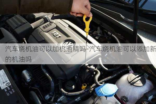 汽車燒機油可以加機油精嗎-汽車燒機油可以添加新的機油嗎