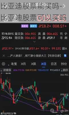 比亞迪股票能買(mǎi)嗎-比亞迪股票可以買(mǎi)嗎
