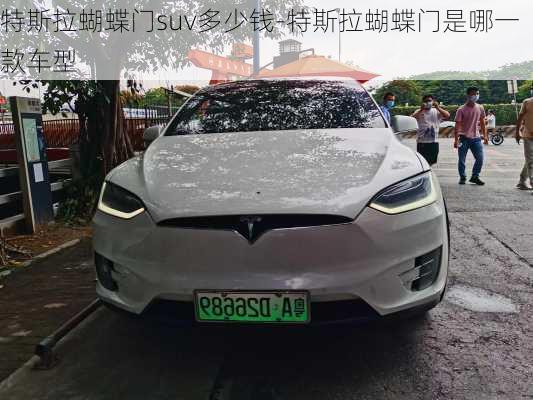 特斯拉蝴蝶門suv多少錢-特斯拉蝴蝶門是哪一款車型