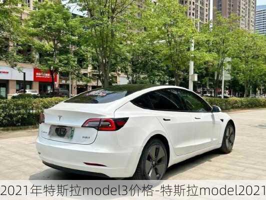 2021年特斯拉model3價(jià)格-特斯拉model2021