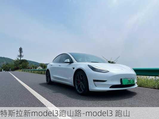 特斯拉新model3跑山路-model3 跑山