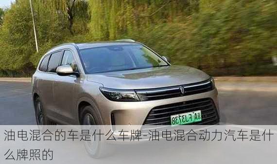 油電混合的車是什么車牌-油電混合動(dòng)力汽車是什么牌照的