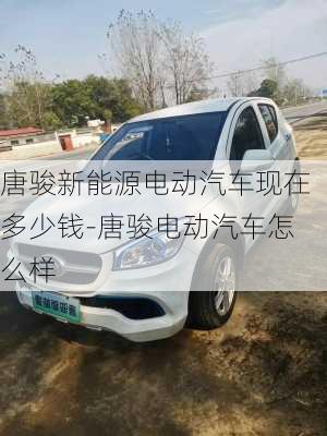 唐駿新能源電動(dòng)汽車(chē)現(xiàn)在多少錢(qián)-唐駿電動(dòng)汽車(chē)怎么樣