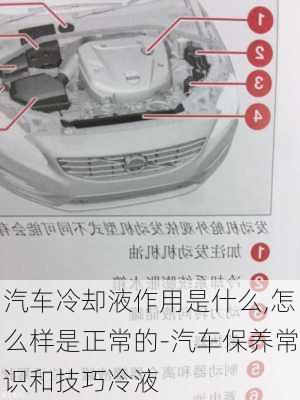 汽車?yán)鋮s液作用是什么,怎么樣是正常的-汽車保養(yǎng)常識和技巧冷液