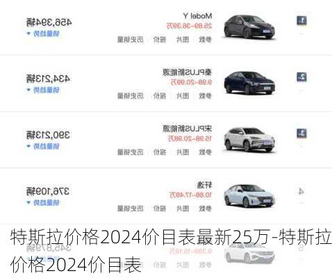 特斯拉價(jià)格2024價(jià)目表最新25萬-特斯拉價(jià)格2024價(jià)目表