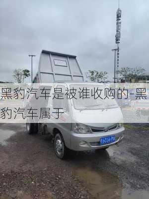 黑豹汽車是被誰收購的-黑豹汽車屬于