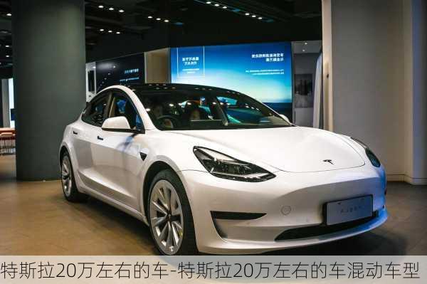 特斯拉20萬左右的車-特斯拉20萬左右的車混動車型